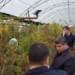 Таджикским фермерам рассказали о новых технологиях в сельском хозяйстве Японии