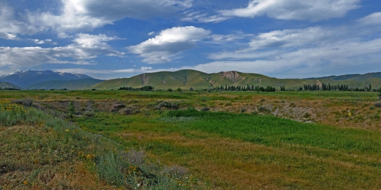В Таджикистане реализуются 6 инвестпроектов в сфере мелиорации и ирригации на сумму $165.4 млн.