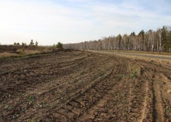 В районе Рудаки по подозрению в мошенничестве задержаны четверо бывших работников сельсовета и милиционер