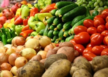 Объем производства продукции сельского хозяйства в Таджикистане составил 782,3 млн. сомони
