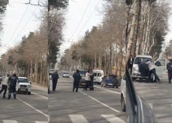 Против водителя, оскорбившего сотрудника ГАИ в Душанбе возбудили уголовное дело