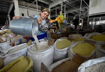 Таджикских чиновников ознакомили с основными концепциями продовольственной безопасности