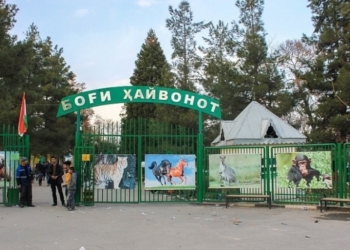 Рустам Эмомали поручил принять меры по столичному Зоопарку