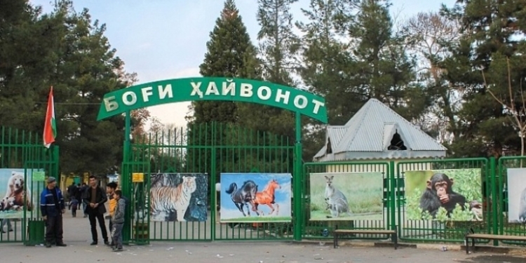 Рустам Эмомали поручил принять меры по столичному Зоопарку