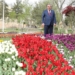 Участие президента в церемонии подведения итогов  конкурса «Сайри гули лола»