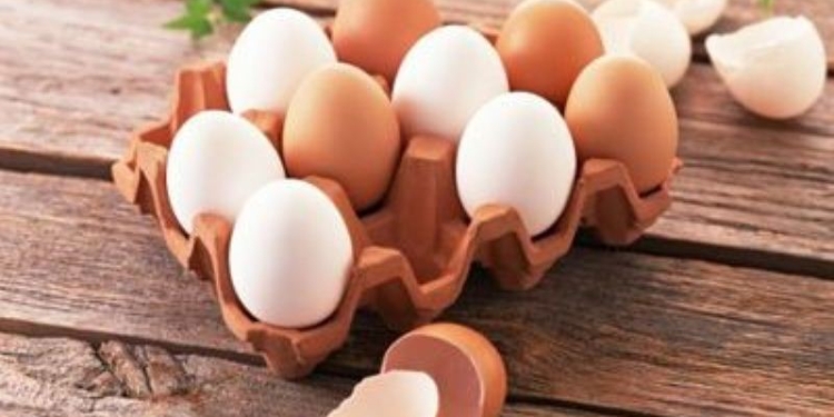 В Таджикистане планируют увеличить объемы производства яиц и куриного мяса