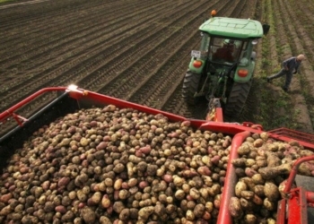 В Таджикистане сельхозпродукция произведена на сумму свыше $201 млн.