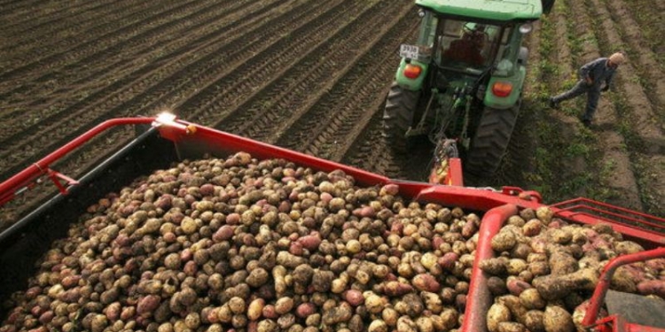 В Таджикистане сельхозпродукция произведена на сумму свыше $201 млн.