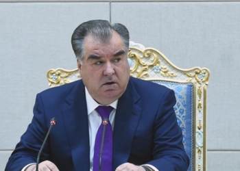 Президент назначил новых заместителей главы Налогового комитета