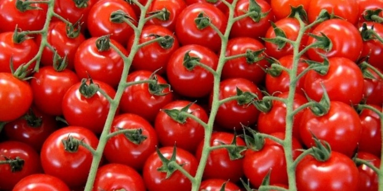 Объем экспорта таджикских овощей и фруктов увеличился на 14%