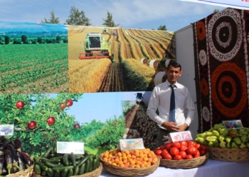 В Кулябе прошел Международный инвестиционный форум