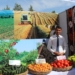 В Кулябе прошел Международный инвестиционный форум