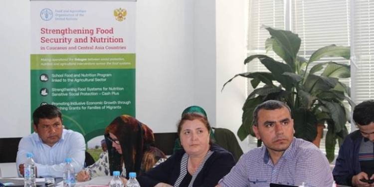ФАО финансово поддержит таджикских аграриев