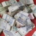 В Кубодиене пенсионерка открыла сундук и обнаружила пропажу 50 тыс. сомони