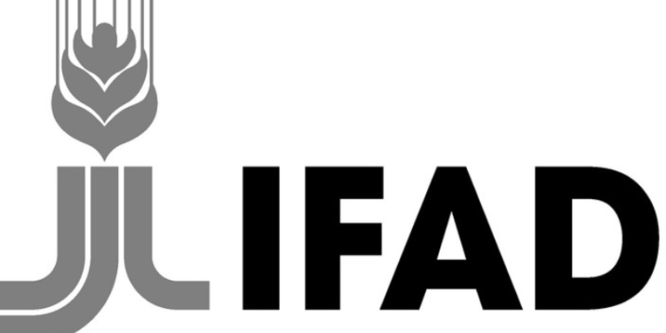 Таджикистан призвал IFAD участвовать в реализации новых проектов в республике
