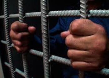 Житель Канибадама осужден на 11 лет за убийство супруги