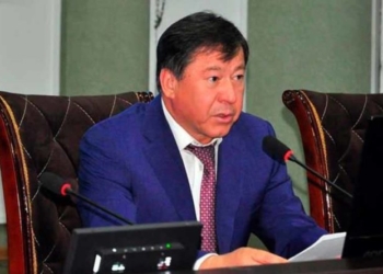 Глава МВД Таджикистана попросил российского коллегу расследовать инцидент с избиением таджика скинхедами