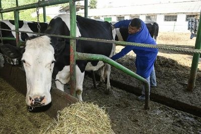 В Душанбе обсудили вопросы устойчивости животноводства в Таджикистане