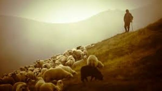 Спасатели КЧС вытащили из оврага чабана