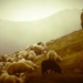 Спасатели КЧС вытащили из оврага чабана