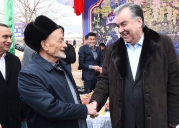 На юге Таджикистана новый виноградник назвали в честь Лидера нации