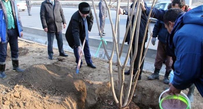 Рустам Эмомали принял участие в хашаре по посадке саженцев деревьев