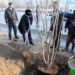 Рустам Эмомали принял участие в хашаре по посадке саженцев деревьев