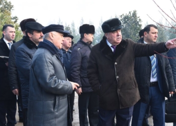 Президент Таджикистана поручил увеличить  экспорт фруктов   