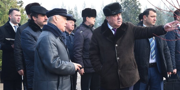 Президент Таджикистана поручил увеличить  экспорт фруктов   