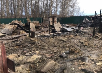 При пожаре в Раменском погибли граждане Вьетнама, а не Таджикистана