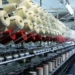 Предприятия легкой промышленности Таджикистана произвели продукцию на сумму свыше 2,8 млрд. сомони