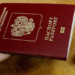 44 тыс. уроженцев Таджикистана получили российское гражданство в 2019 году