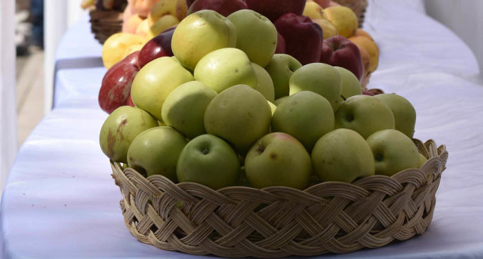 Таджикистан не импортирует продукты питания из Китая, кроме чая