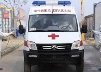 Число жертв коронавируса в провинции Хубэй возросло на 116 человек