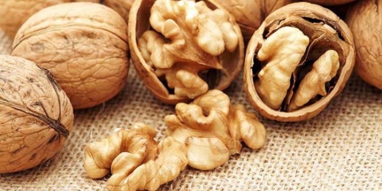 В Таджикистане разработают стандарт качества грецкого ореха
