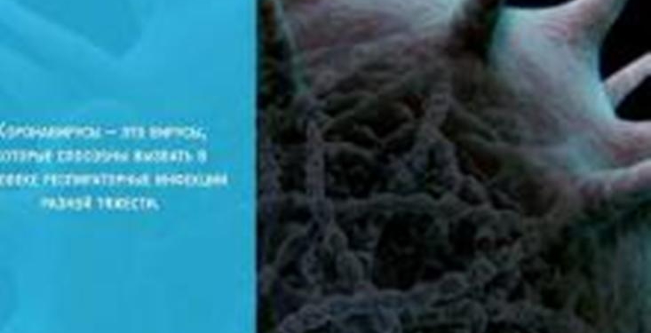 Видеоролик по профилактике коронавируса от Минздрава