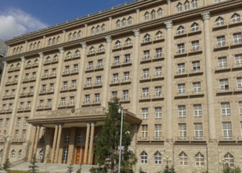 МИД Таджикистана сообщает о мерах по вывозу граждан РТ из других стран