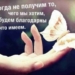 Что день грядущий нам готовит (видео-опрос)