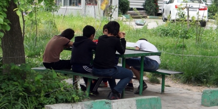 «Временные каникулы»: Чем заняты дети (видео)