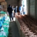 Помощь на миллион рублей: соотечественники раздали мигрантам 37 тонн продуктов