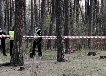 В подмосковном лесу нашли изрезанное тело мигранта из Таджикистана
