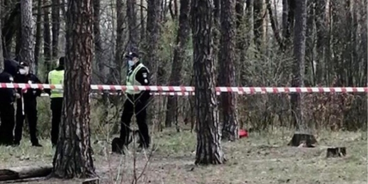 В подмосковном лесу нашли изрезанное тело мигранта из Таджикистана