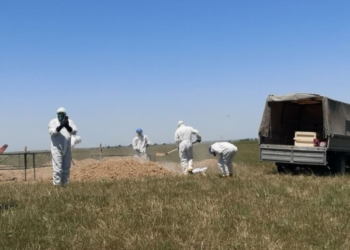 В Казахстане умерших от коронавируса разрешили хоронить на обычных кладбищах