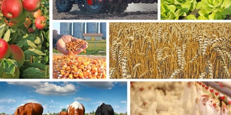 Сельское хозяйство способно стабилизировать экономики стран Центральной Азии в период пандемии – ВБ