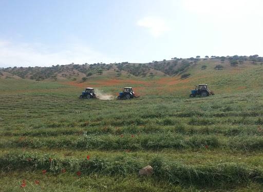 В Таджикистане заготовлено свыше 500 тыс. тонн животных кормов