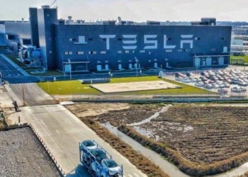 Tesla лидирует в Китае по продажам электромобилей