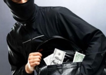 Житель Рудаки   подозревается в краже $33 тыс.