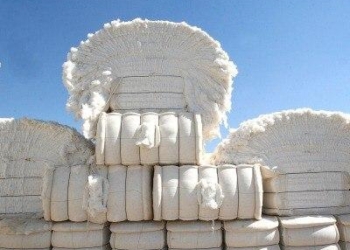 Сумма экспорта хлопка-волокна в Таджикистане сократилась на 16,5%