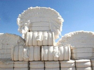 Сумма экспорта хлопка-волокна в Таджикистане сократилась на 16,5%