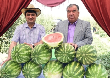 Президент в Дангаре